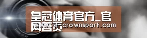公司动态