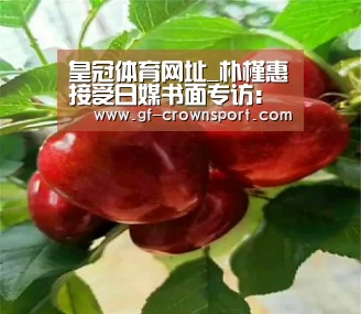 皇冠体育网址_朴槿惠接受日媒书面专访:年内要解决慰安妇问题(图1) 皇冠体育投注