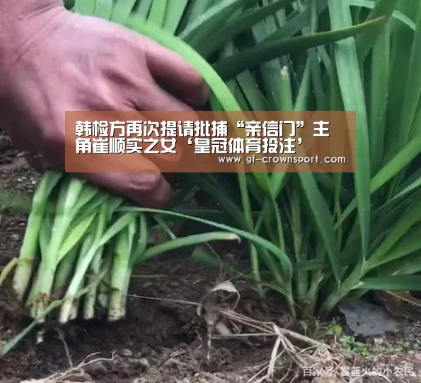 韩检方再次提请批捕“亲信门”主角崔顺实之女‘皇冠体育投注’(图4) 皇冠体育官方网站