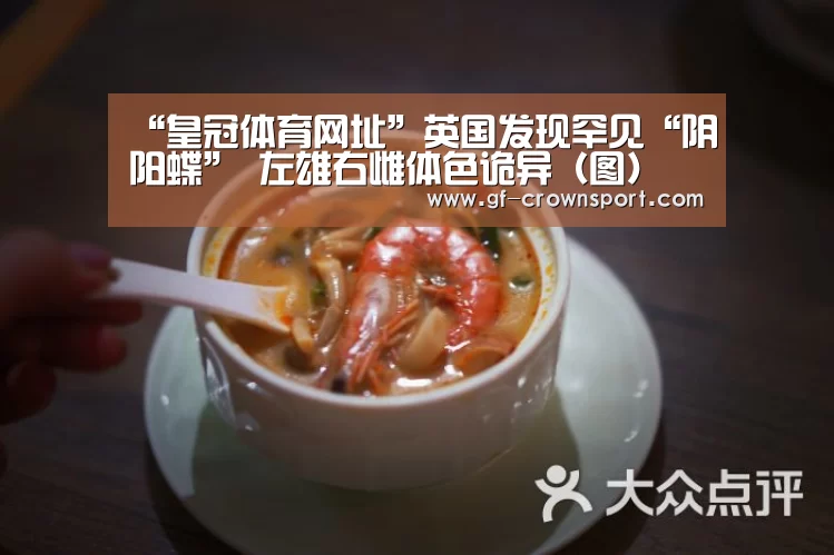 皇冠体育官网