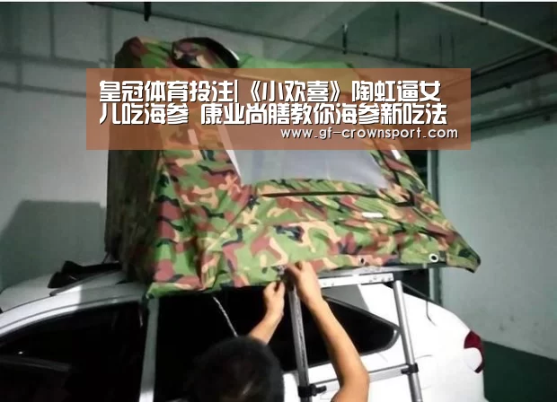 皇冠体育官网