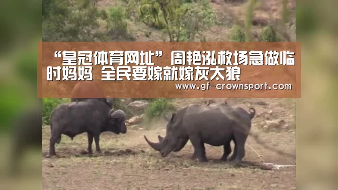 皇冠体育官网